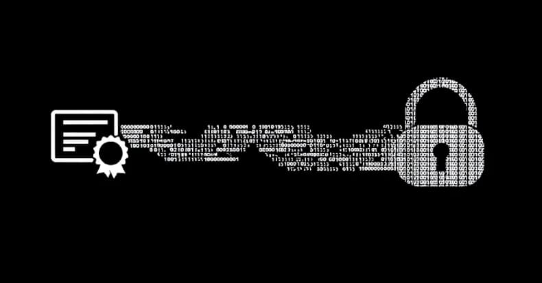 Microsoft thu hồi 200 chứng chỉ gian lận được sử dụng trong chiến dịch Ransomware Rhysida